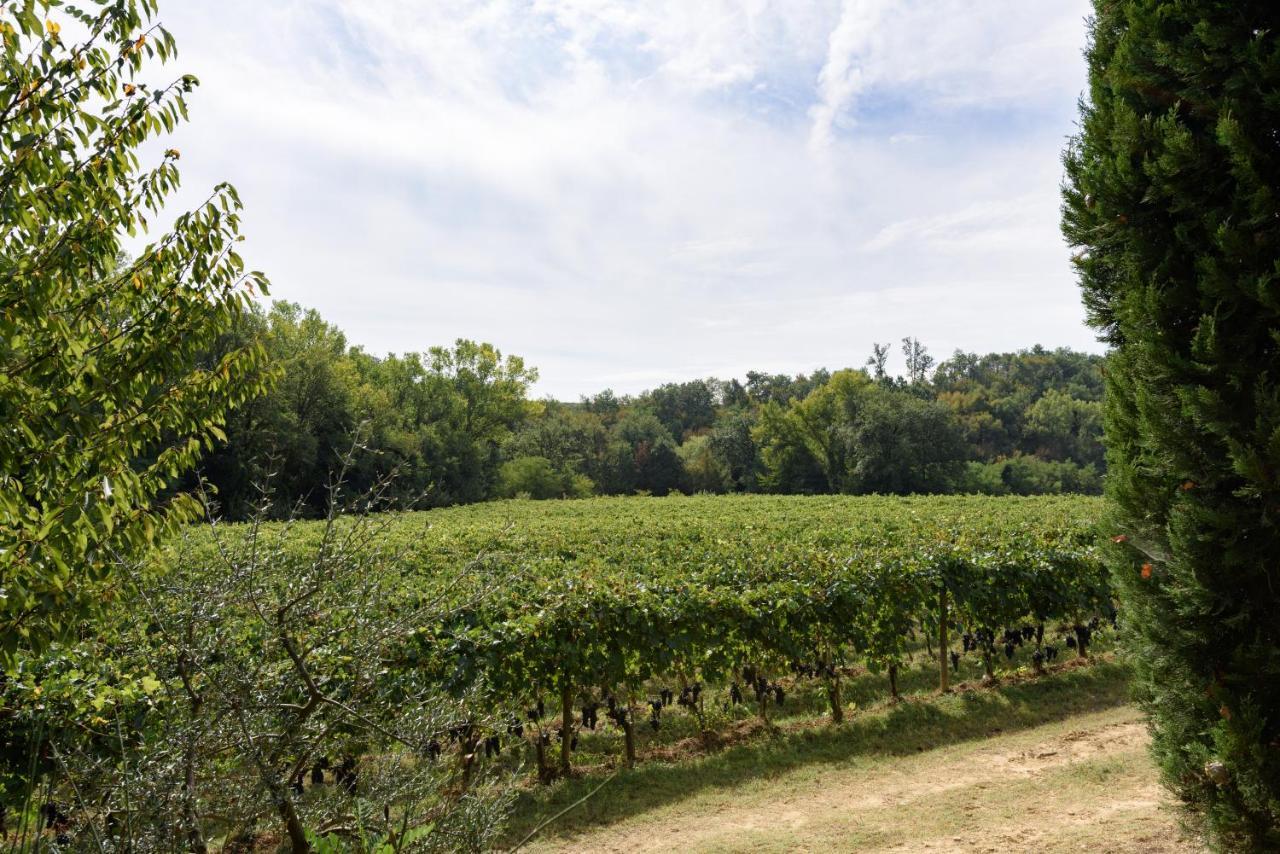 הוילה Il Molinaccio Di Montepulciano Stazione מראה חיצוני תמונה